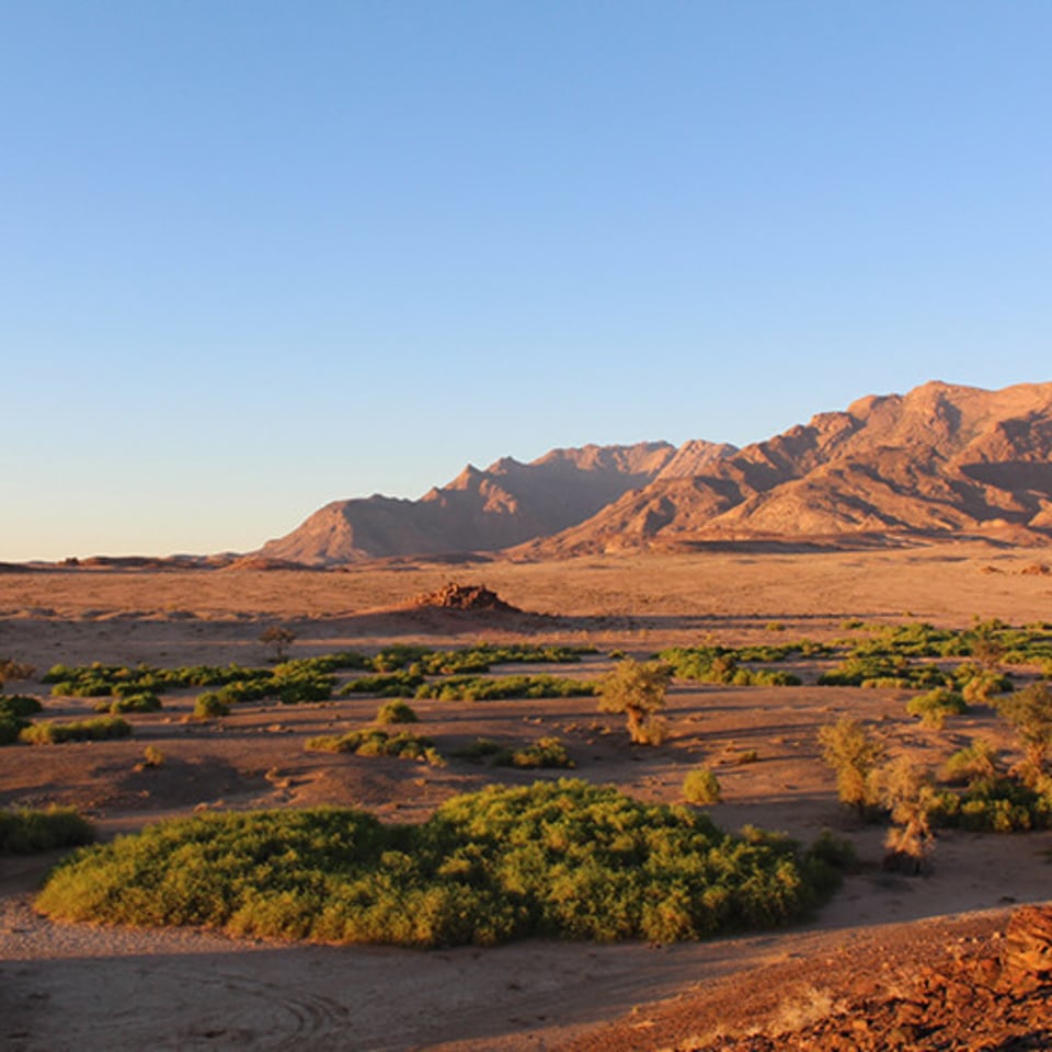 Brandberg White Lady Lodge